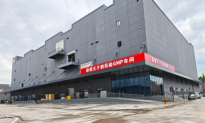 快联x麻辣王子正宗辣条产业园