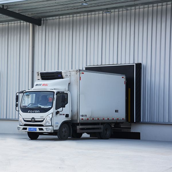 机械式门罩 - DSM-ST500